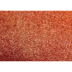 WEN 5SD120 120-Grit Adhesive-Backed 5 in. Disc Sandpaper, 10 Pack